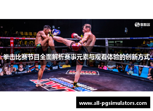 拳击比赛节目全面解析赛事元素与观看体验的创新方式