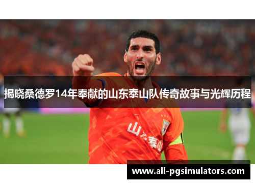 揭晓桑德罗14年奉献的山东泰山队传奇故事与光辉历程