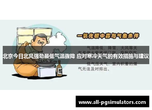 北京今日北风强劲最低气温骤降 应对寒冷天气的有效措施与建议